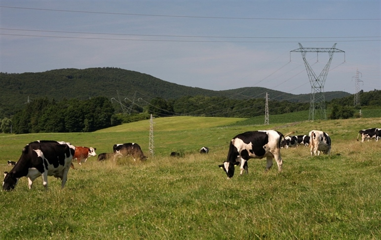 Energetski sektor se ponaša z dobrimi poslovnimi kazalci