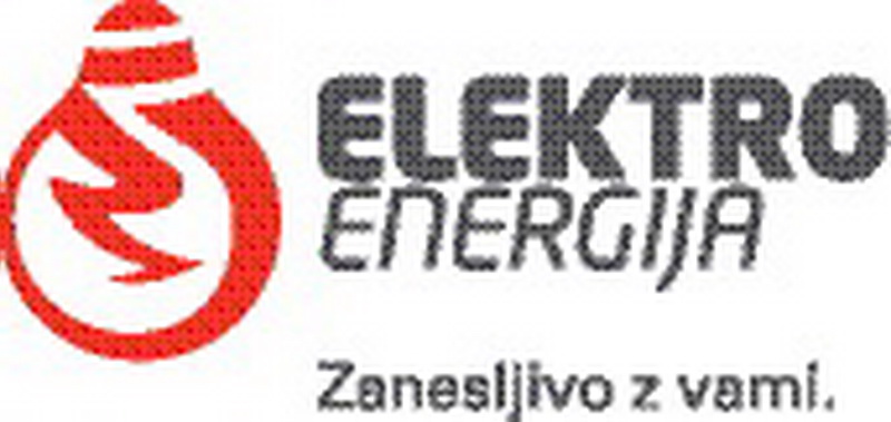 Elektro energija trinajsta najboljša slovenska družba 