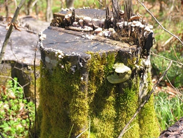 Kam vodi Natura 2000?