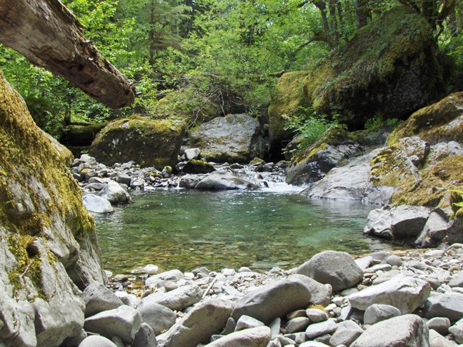 EK o dostopu do pravnega varstva na področju okolja