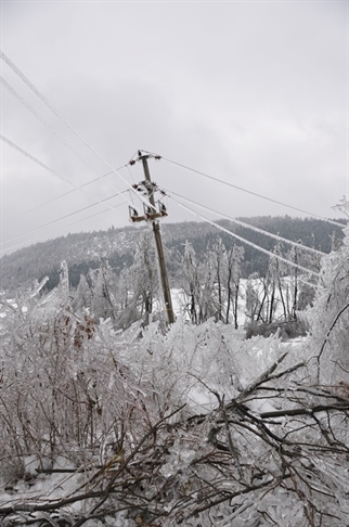 Na terenu vse razpoložljive ekipe družbe Elektro Primorska