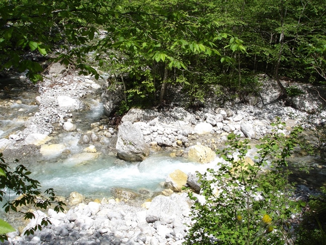 Sožitje energetskih in okoljevarstvenih vidikov 