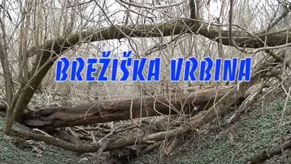 Brežiška Vrbina