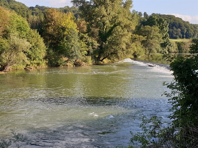 Zakaj se na vodi občasno pojavi pena?