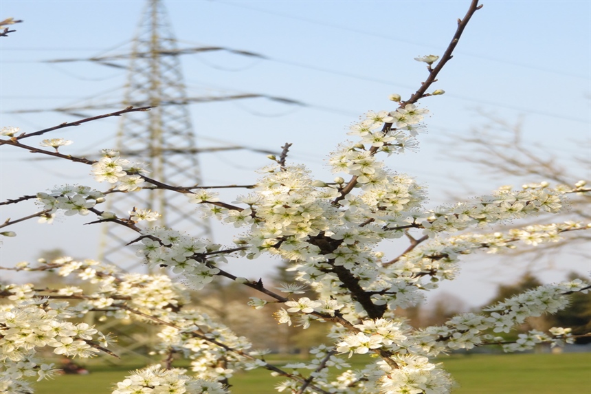 Sprememba Uredbe o razmejitvi 110 kV omrežja 