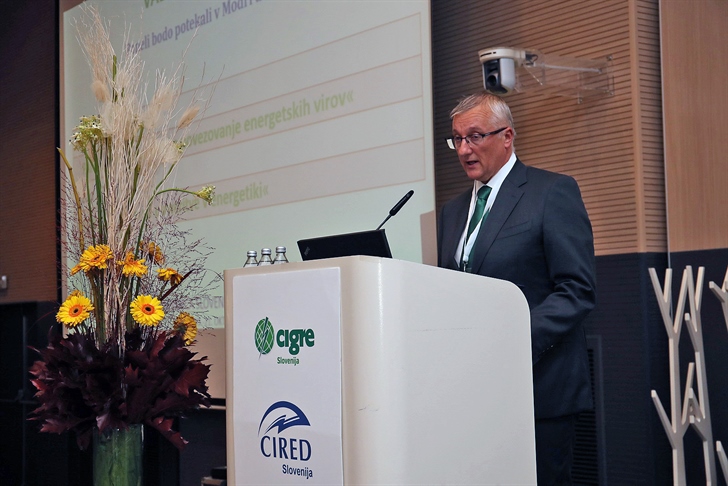 S 15. konference CIGRE-CIRED