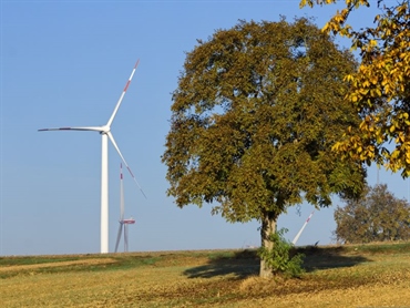 Evropski parlament podprl spodbujanje rabe obnovljivih virov in varčevanje z energijo