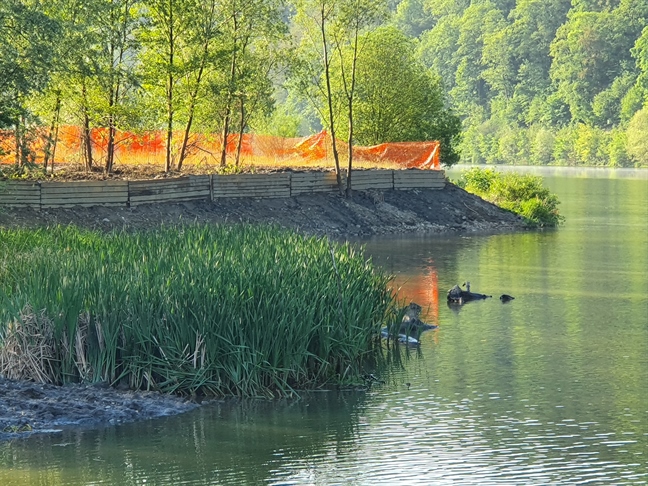 Projekt premeščanja sedimenta