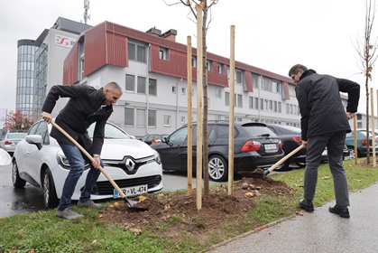 Skupina Elektro Gorenjska in Mestna občina Kranj zasadili nov drevored