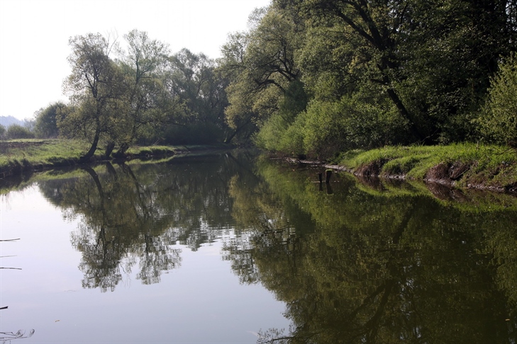 Na Muri hidroelektrarn ne bo